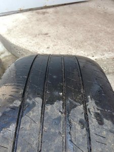 IMG_0577.jpg