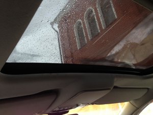 IMG_3192.jpg