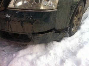 IMG_1264.jpg