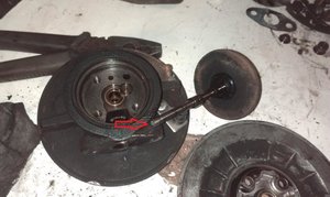 IMAG0273.jpg