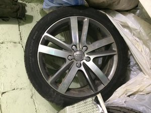 IMG_1584.jpg