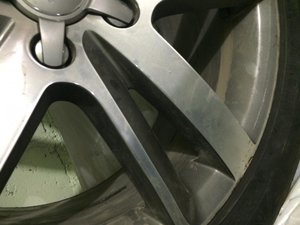 IMG_1585.jpg