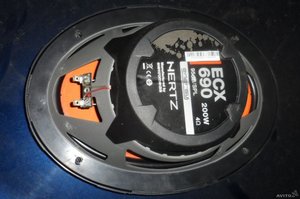 556352694.jpg