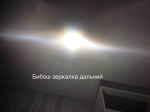 бибош дальний.jpg