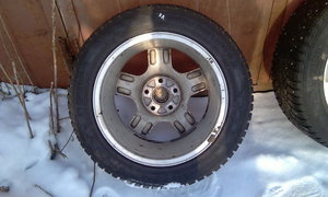 IMAG0202.jpg