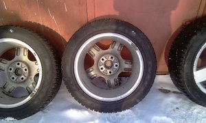 IMAG0205.jpg