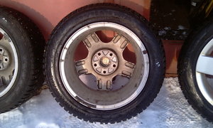 IMAG0206.jpg