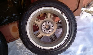IMAG0207.jpg