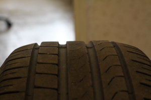 IMG_7910.jpg