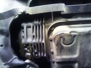 u3saG52WMMI.jpg