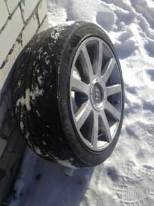 IMG_1554.jpg
