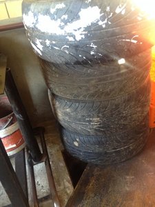 IMG_1558.jpg
