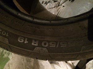 IMG_2921.jpg