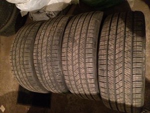 IMG_2925.jpg