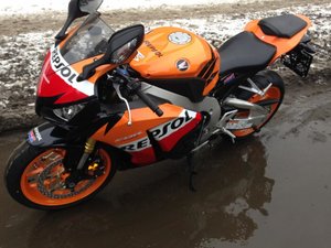 IMG_0528.jpg