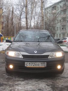 IMG_6379.jpg