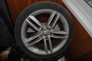 DSC_0195.jpg