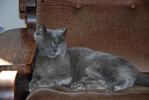 DSC_8777.jpg