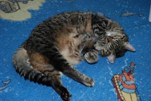 DSC_7199.jpg