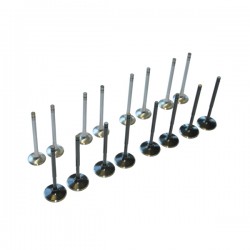 FSI_16V_Valve_Set_1.jpg
