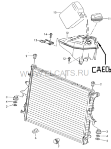 CImage (1).png