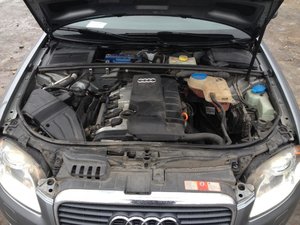 IMG_0566.jpg