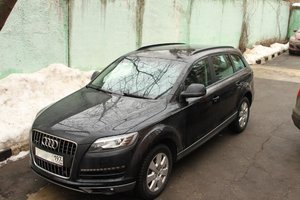 IMG_8313.jpg