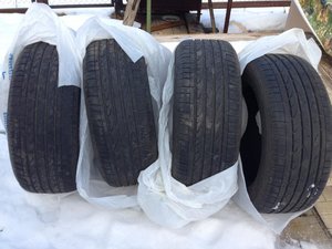 IMG_0797.jpg