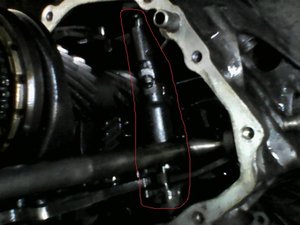 IMG00065 - копия.jpg