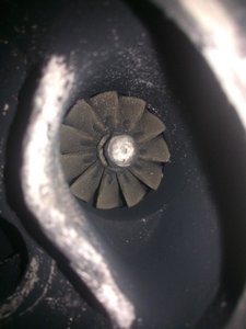 WP_000255.jpg