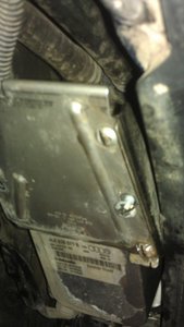 IMAG0381.jpg