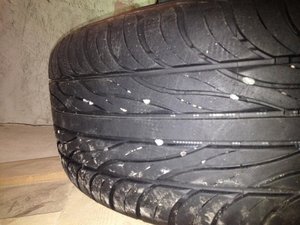 IMG_0827.jpg