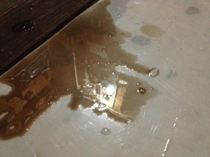 IMG_0489.jpg