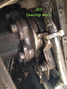 45645747568846.jpg