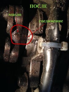 4564574756884484.jpg