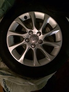IMG_4819.JPG