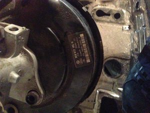 IMG_1584.jpg