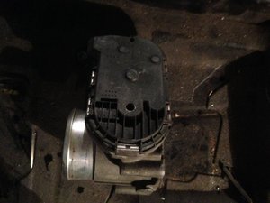 IMG_1589.jpg