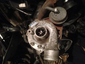 IMG_1594.jpg