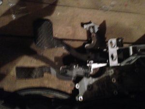 IMG_1598.jpg