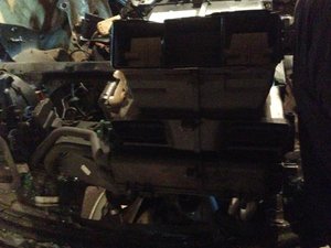 IMG_1599.jpg