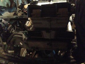 IMG_1600.jpg