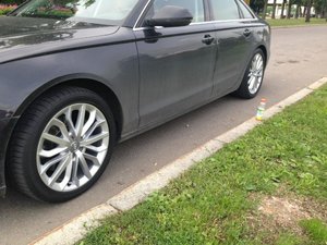 IMG_1334.jpg