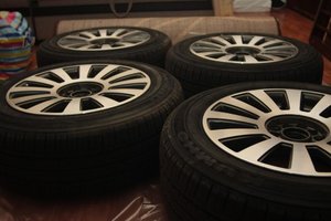 IMG_7369.jpg