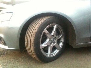 IMG_1775.jpg