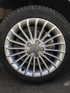 IMG_1903.JPG