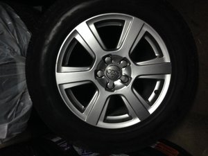 IMG_1984.jpg