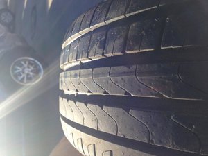 IMG_0330.jpg