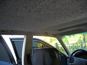 IMG_1207-1.jpg