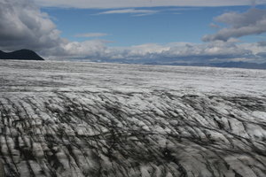 IMG_2784.jpg